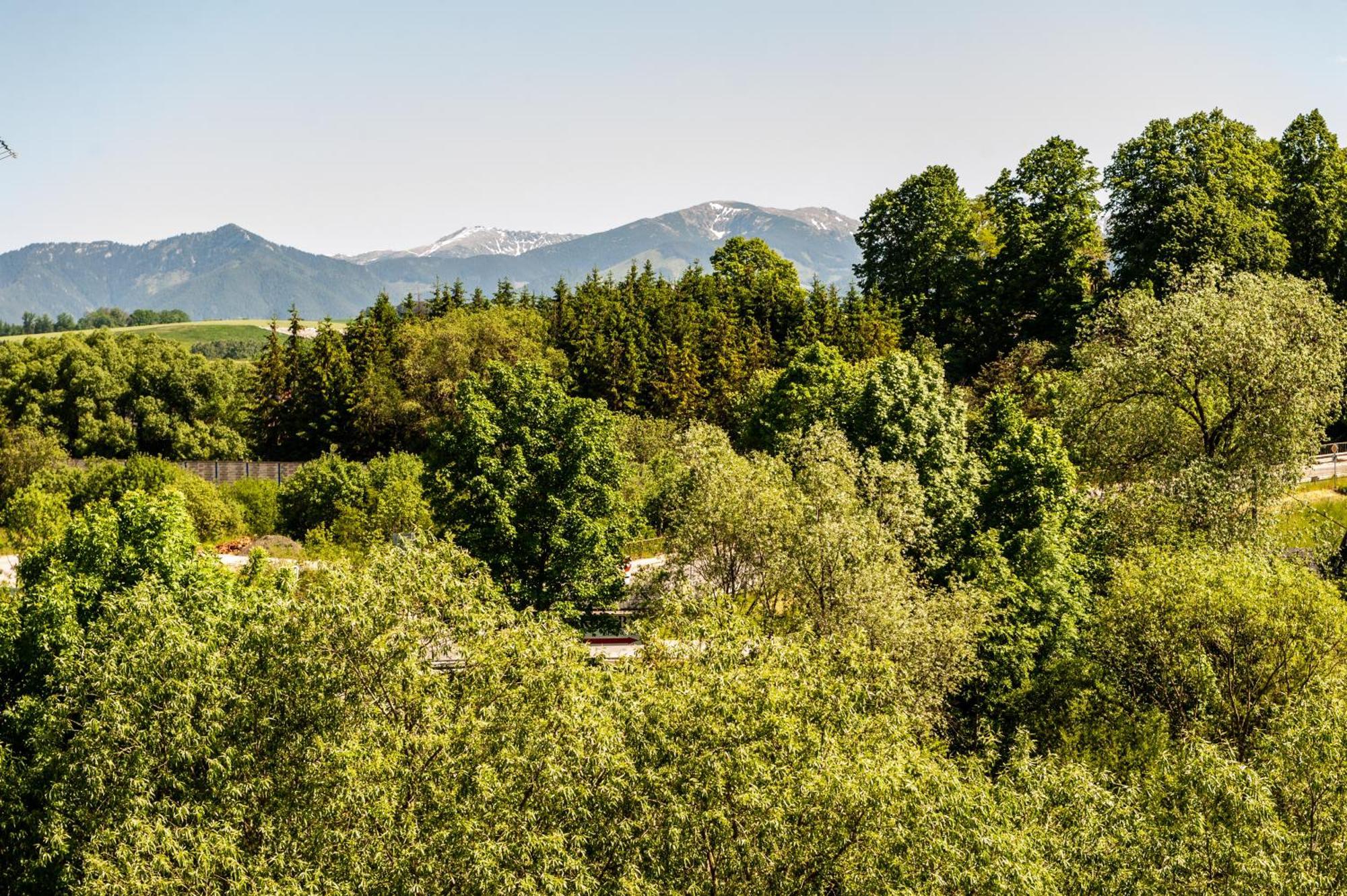 Apartmany Besen Bešeňová Buitenkant foto